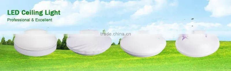 Microwave motion sensor LED ceiling lamp Diameter 300mm 18w sensor on off