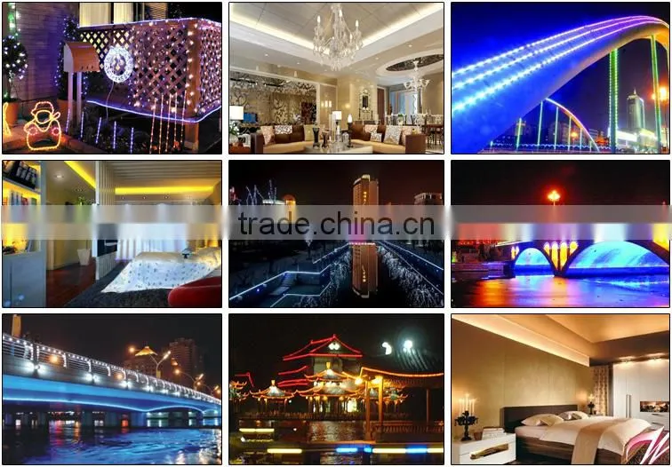 Top Quality 12V White 5630 SMD Outdoor LED Strip Light Waterproof Flexible LED Strips For Holiday Decoration