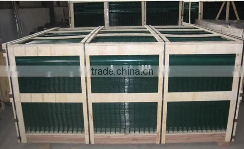 China Factory Welded Wire Mesh /Netting