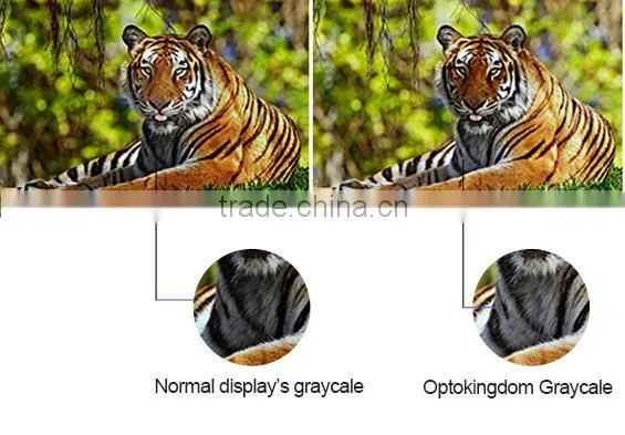 PH12 Outdoor DIP LED Screen LED Display