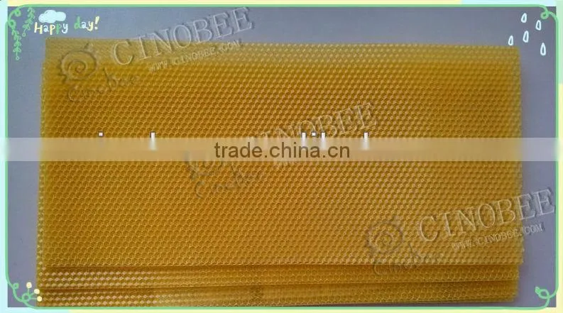 Multifunctional Frame Grip with hive tool