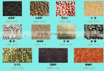 6YL-120 peanut oil extraction machine