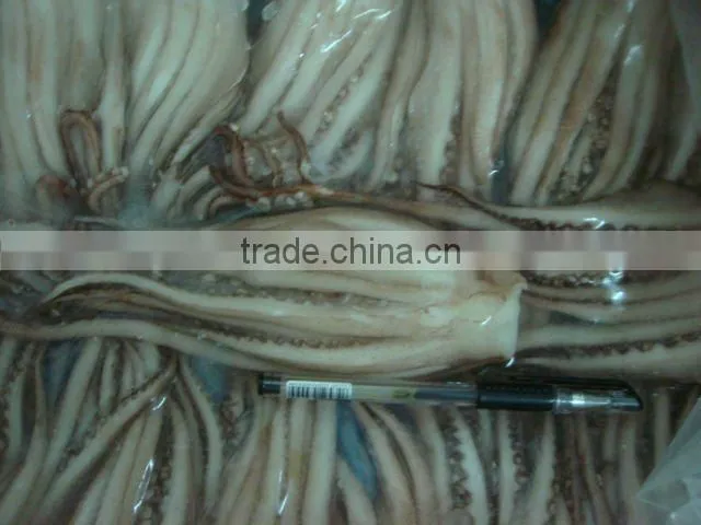Frozen squid tentacle