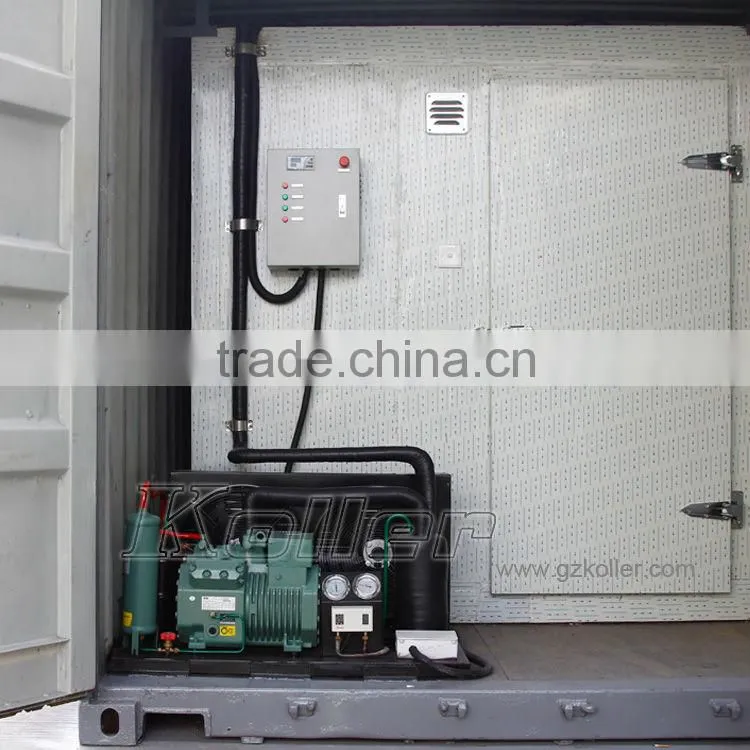 Koller hot sale small capacity cold storage room with refrigerators for fruits VCR20