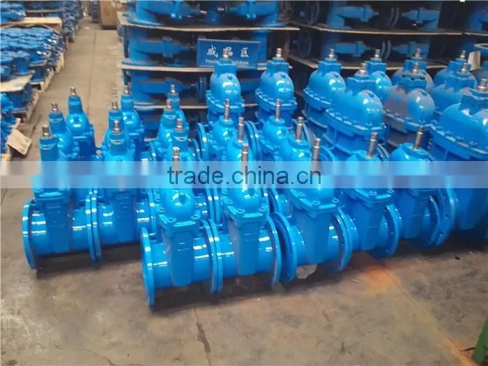 DIN Standard F4 Gate Valve