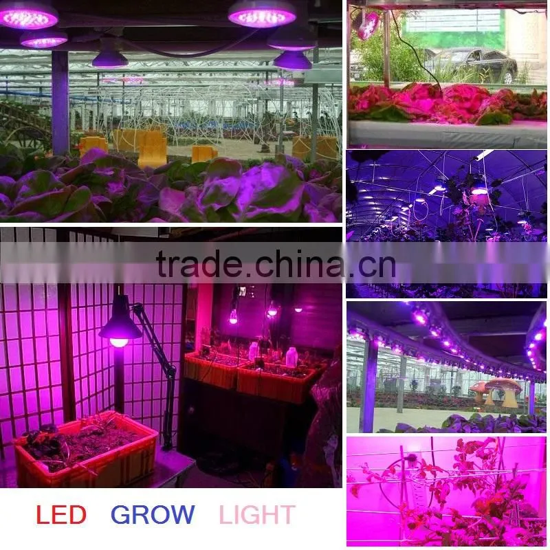 XQD 180w/270w/450w LED plant grow light full spectrum shenzhen