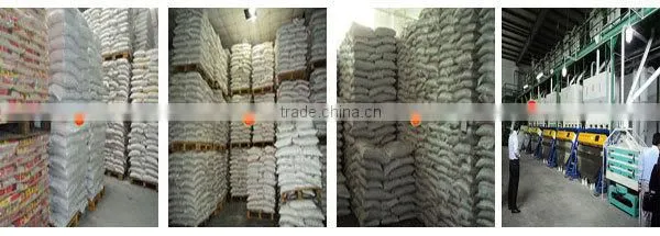 BEST JAPONICA ROUND RICE <5% BOKEN> - CHEAPEST PRICE_HIGH QUALITY - CURRENT RICE