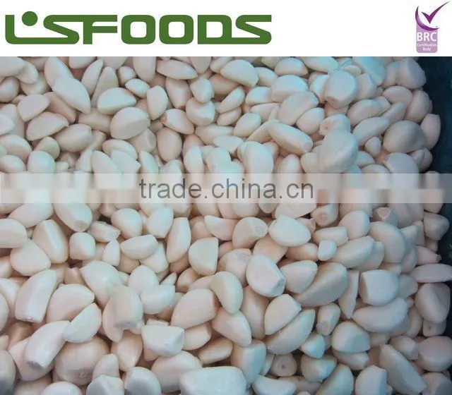 IQF frozen garlic paste garlic puree hot sale