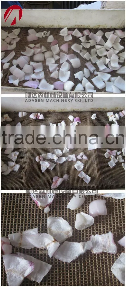 Tunnel type Food Processing Machinery microwave dehydrated onion powder machine
