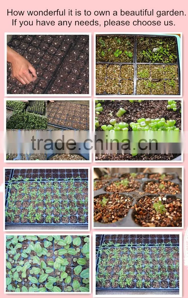 Horticulture Expanded Vermiculite Supplier