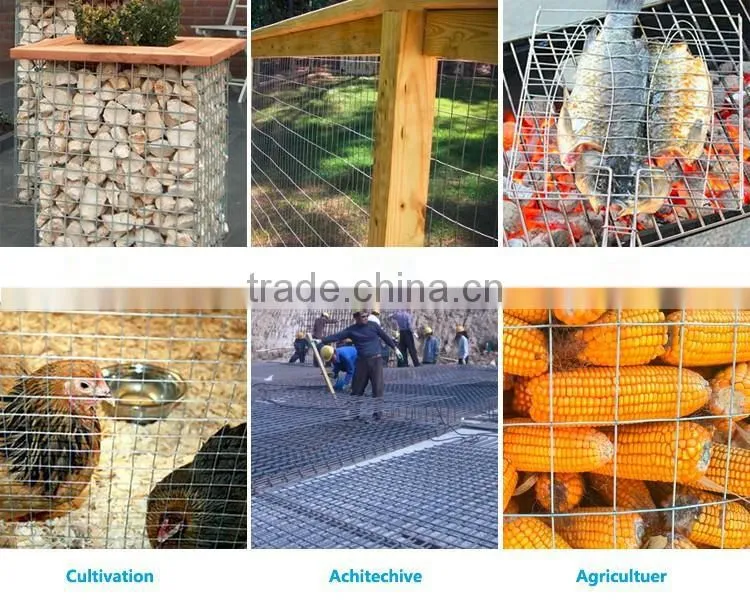 hign quality galvanized welded wire mesh