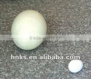 ostrich egg hatching machine egg hatching machine for sale