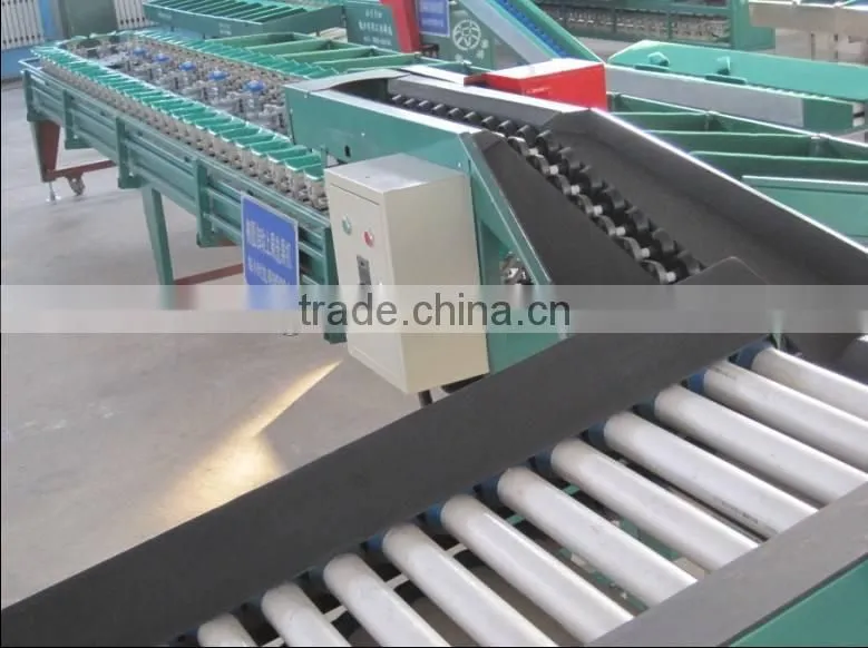 Best Seller Apples Fruit & Vegetable Sorting Machine