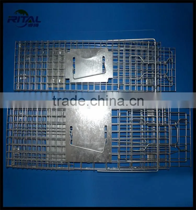 Galvanized Coon Live Cage Trap for Trapping Coon