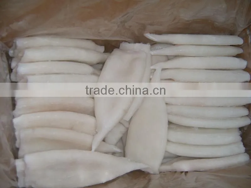 Frozen Argentina Squid Product