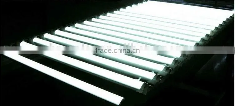 Best price led tube light T8 18W 2 years warranty