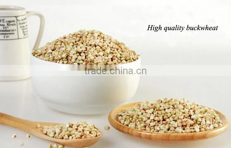 Chinese Manufacturing Vegetarian Instant Wheat Noodle with instant serving