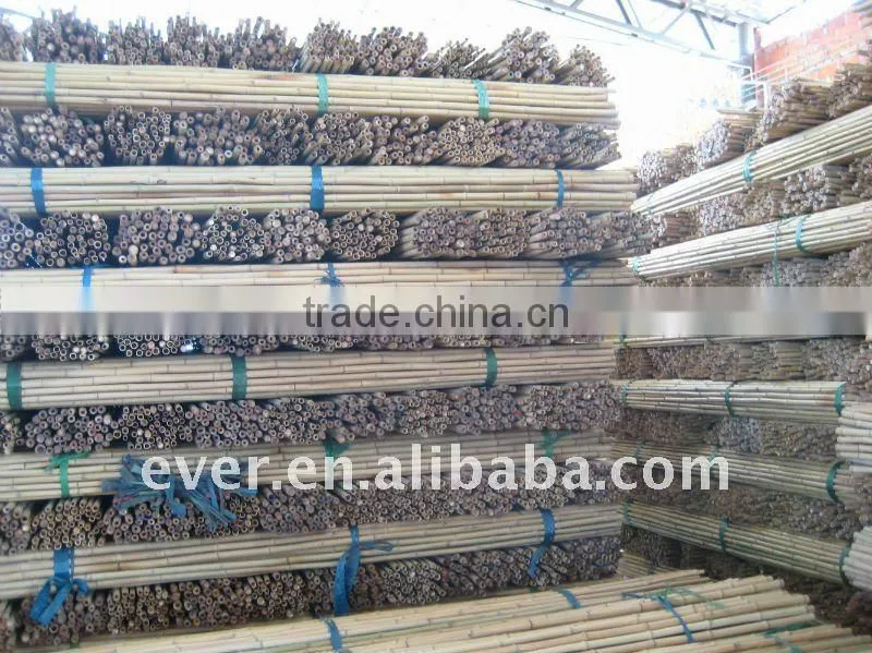 bamboo pole