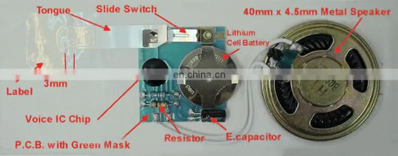 High quality voice chip