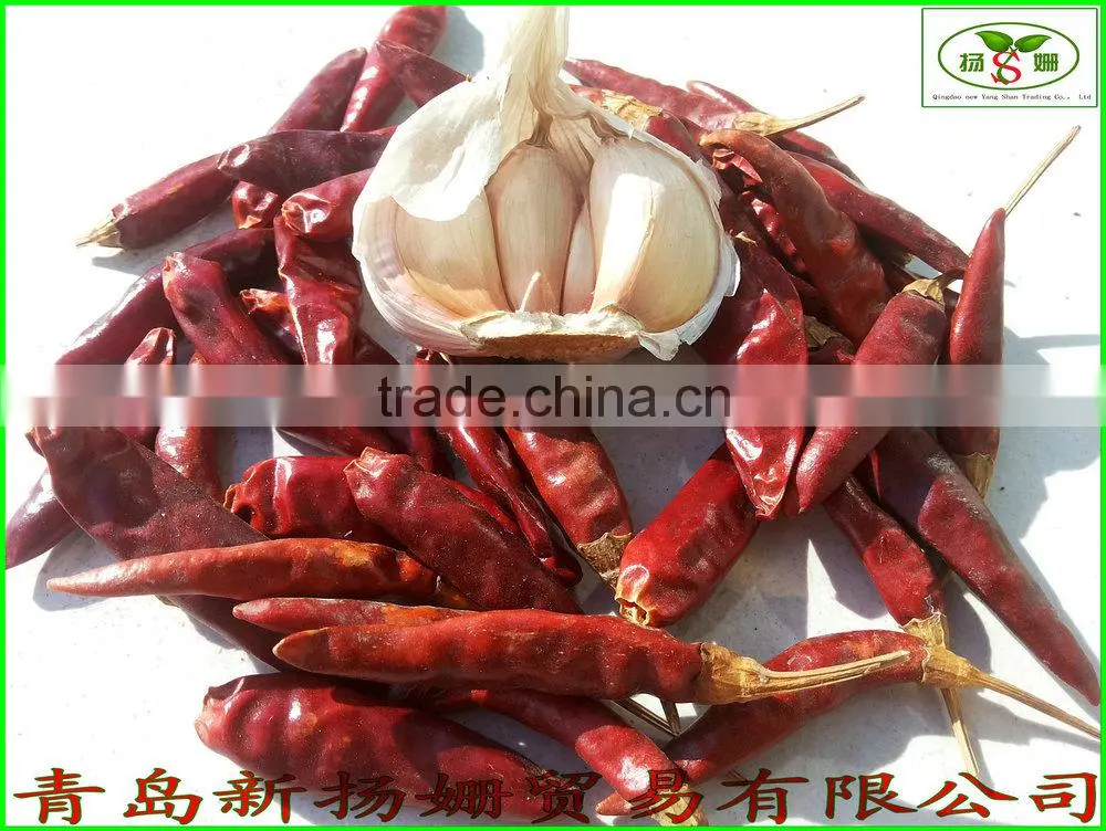 Fresh small chili/ Red Pepper,Cold storage dry chili