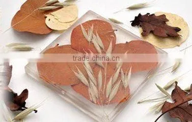 Laminated Decorative Glass Partition For Background Wall