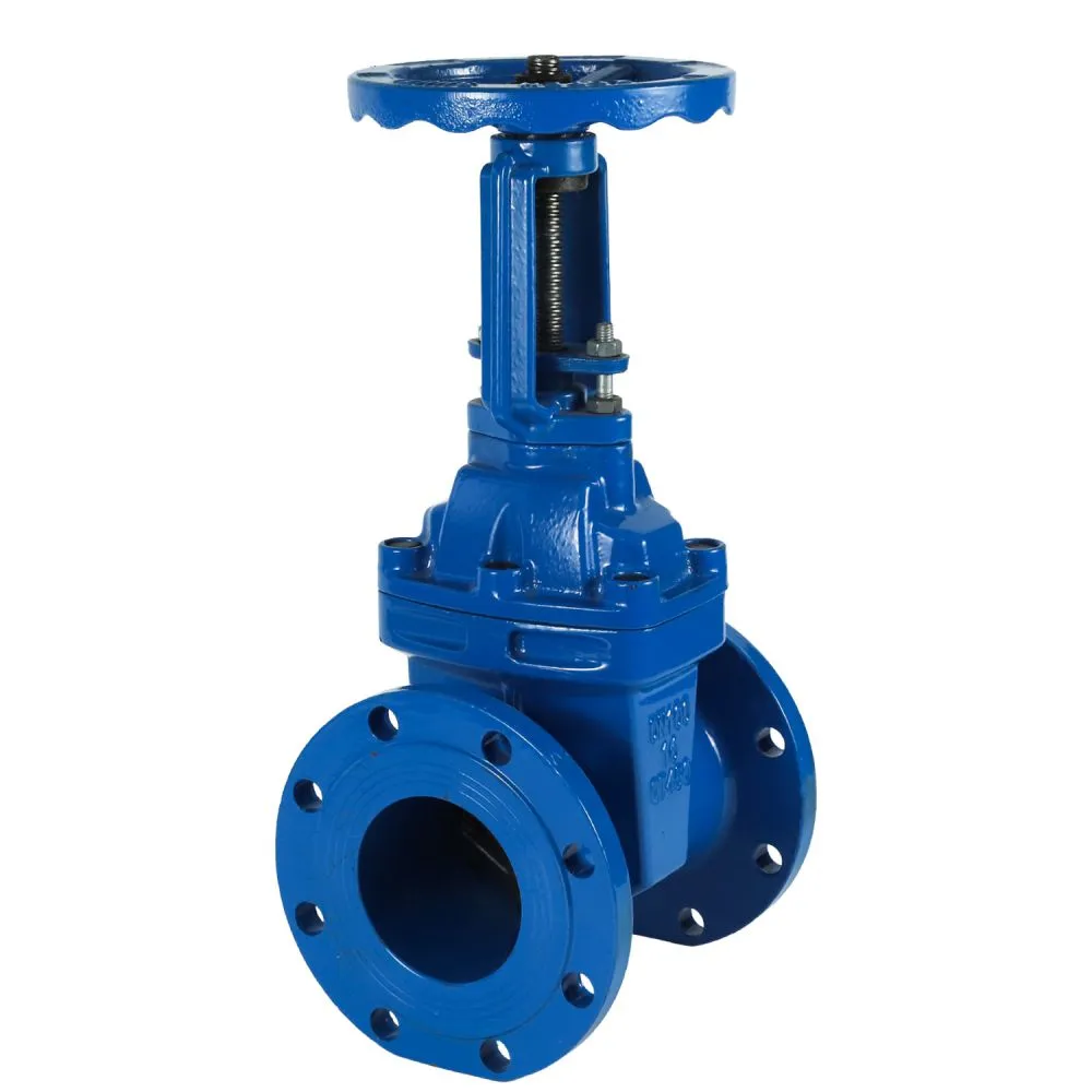 bs rising resilient seat gate valve-1.jpg.webp