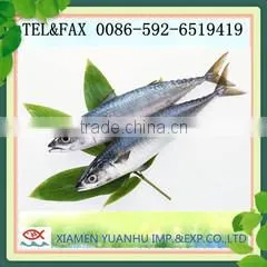 Xiamen Yuanhu Imp.& Exp. Co., Ltd. company overview - view 3