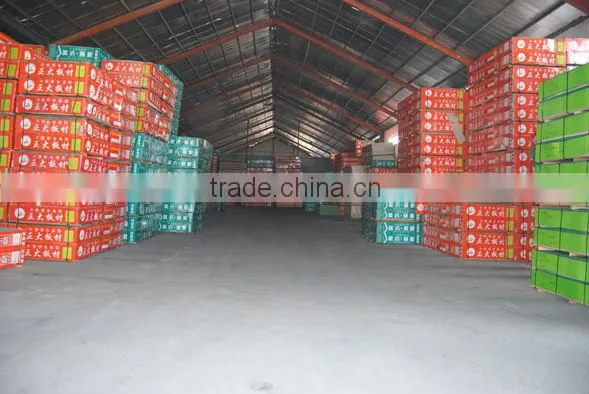 Cheap Different Cores ( Combi Core ) Commercial Plywood on Good Sale