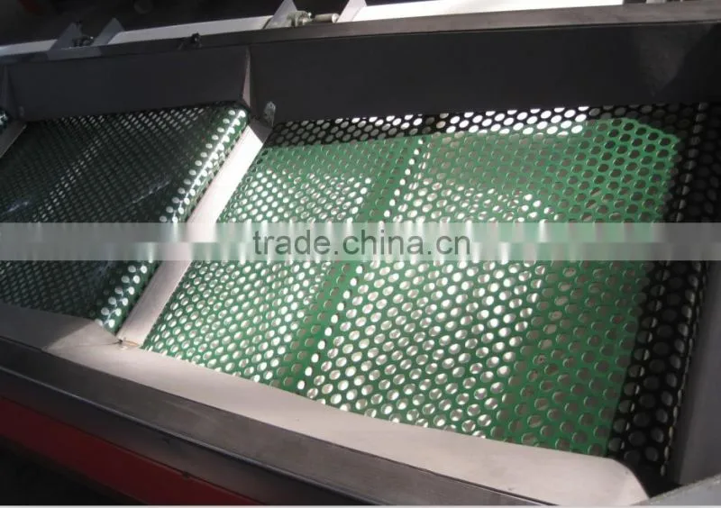 shanghai coffee bean classifier machine/soybean grading machine/blueberry grading machinery/blueberry sorting
