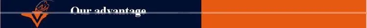 High Quality South American Market 22 Teeth steel Garden Rake