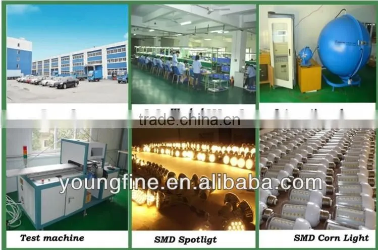 100% quality guaranteed 2 year warranty 5W led cob mr16 dimmable spotlight