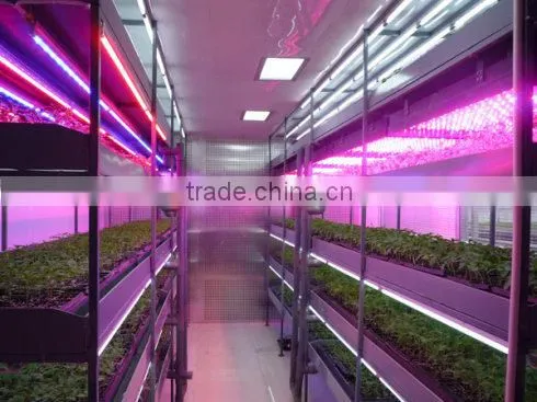 White house round shape 90W chip plants led Grow lighting