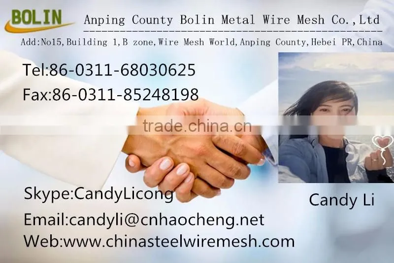 Anping Factory ultra fine 150x0.0027'' wire dai Titanium wire Mesh Cloth