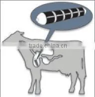 magnet for electric motors with excellent quality