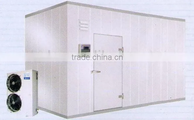 Model DCWF-10 Modular & standard cold room