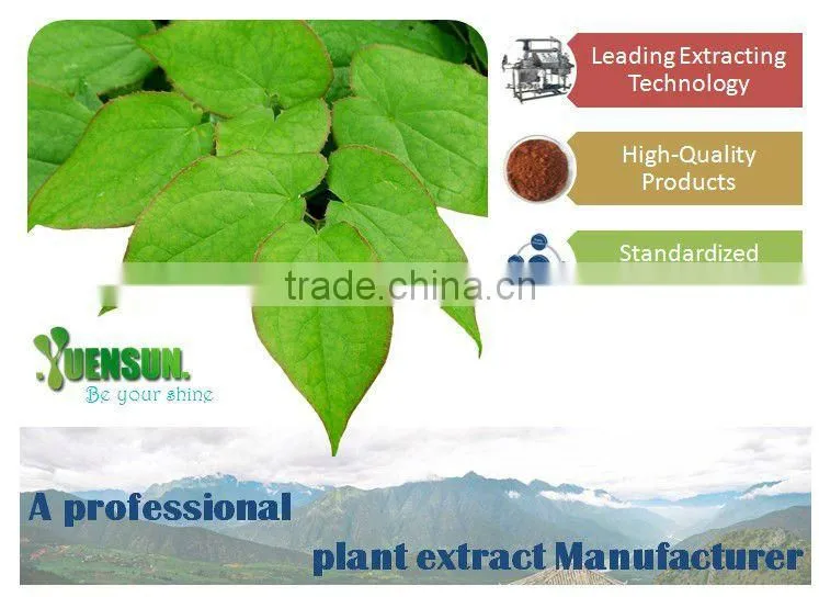 Epimedium powder icariin 50% 60% 80% 98% epimedium extract