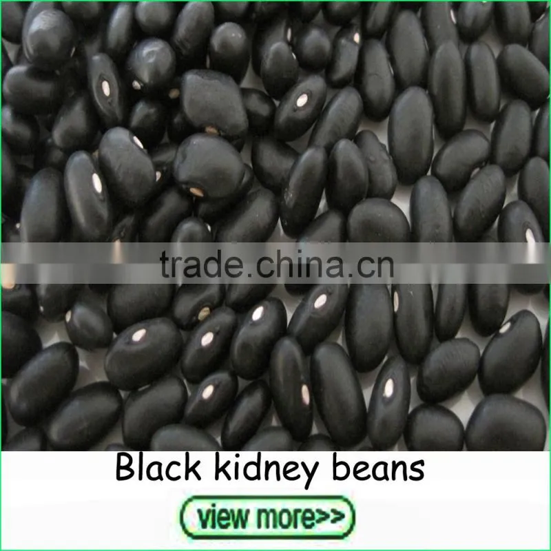 2016 Crop small size white kidney beans navy beans
