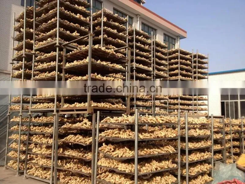 2014 new crop top quality fresh ginger market price for ginger