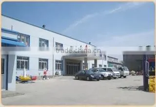 Wenzhou Loyal Amusement Co., Ltd. company overview - view 2