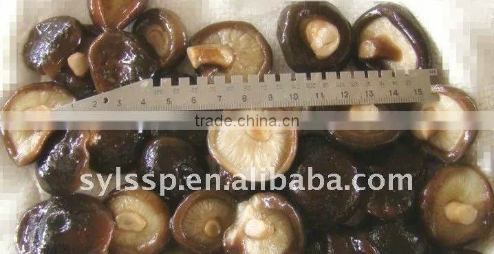 2016 crop Shiitake mushroom in brine