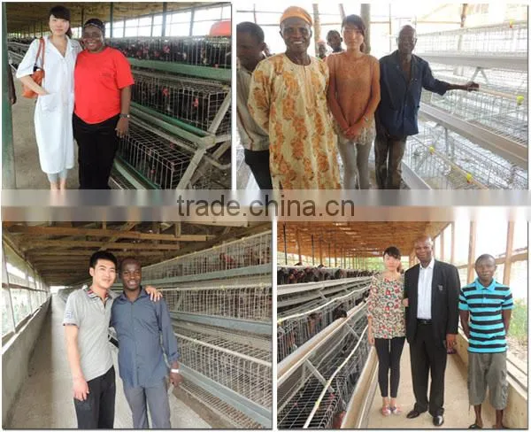TAIYU Hot Galvanization 25 Years Lifespan Broiler Cage for Sale in Lagos