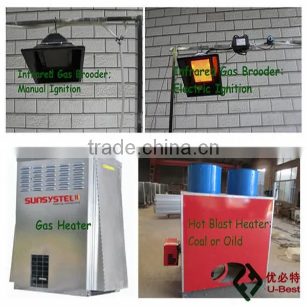 Automatic chicken broiler feeding system