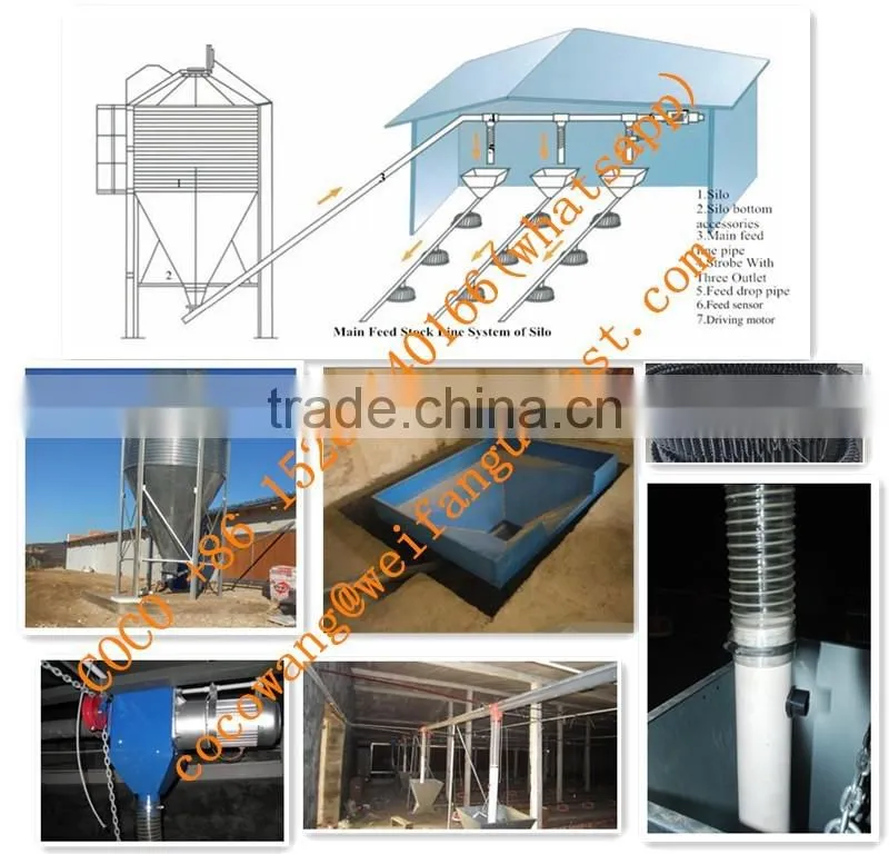 2017 Hot Sale Low Price Broiler Farm Equipment Automatic Poultry Feeding And Nipple Drinking System for Breeding Chickens