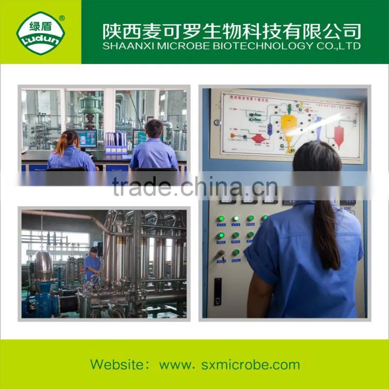 classification fungicide Kasugamycin copper oxychloride