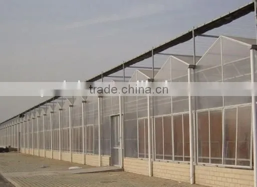 china pc polycarbonate corrugated sheet agricultural greenhouse