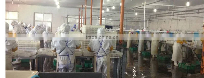 Frozen blue swimming crab whole round
