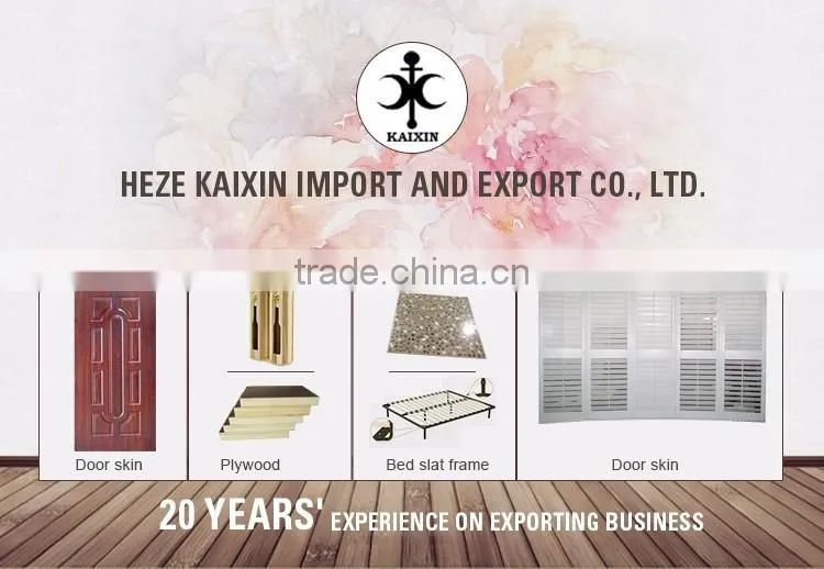 various types hdf molded smooth door skin