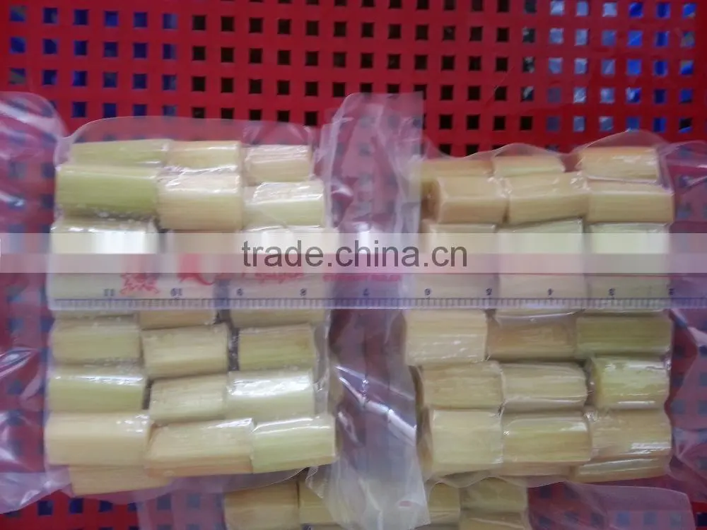 Fresh Sweet Sugarcane from Vietnam/ Sweet Cane Sugar