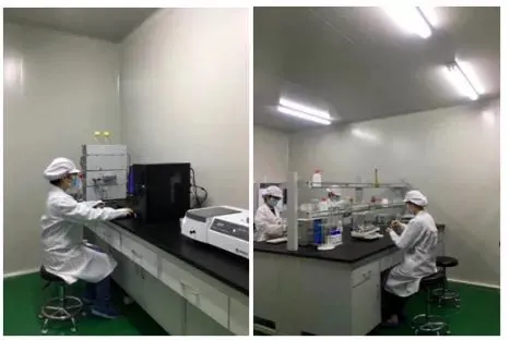 Shaanxi Pepsit Biotechnology Co., Ltd company overview - view 3