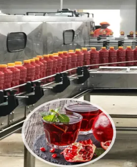 Automatic Pomegranate Juice Production Line